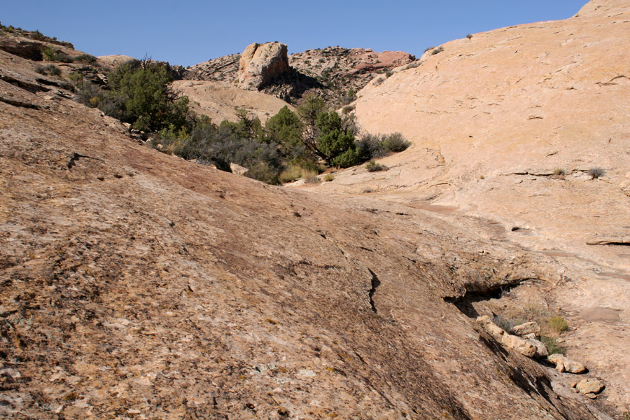 comb wash utah